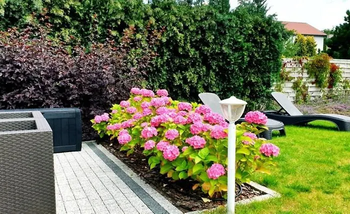 Nowa Zatoka Willa Puck